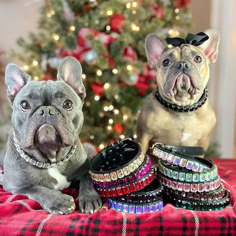 Pet Dog Collar Set