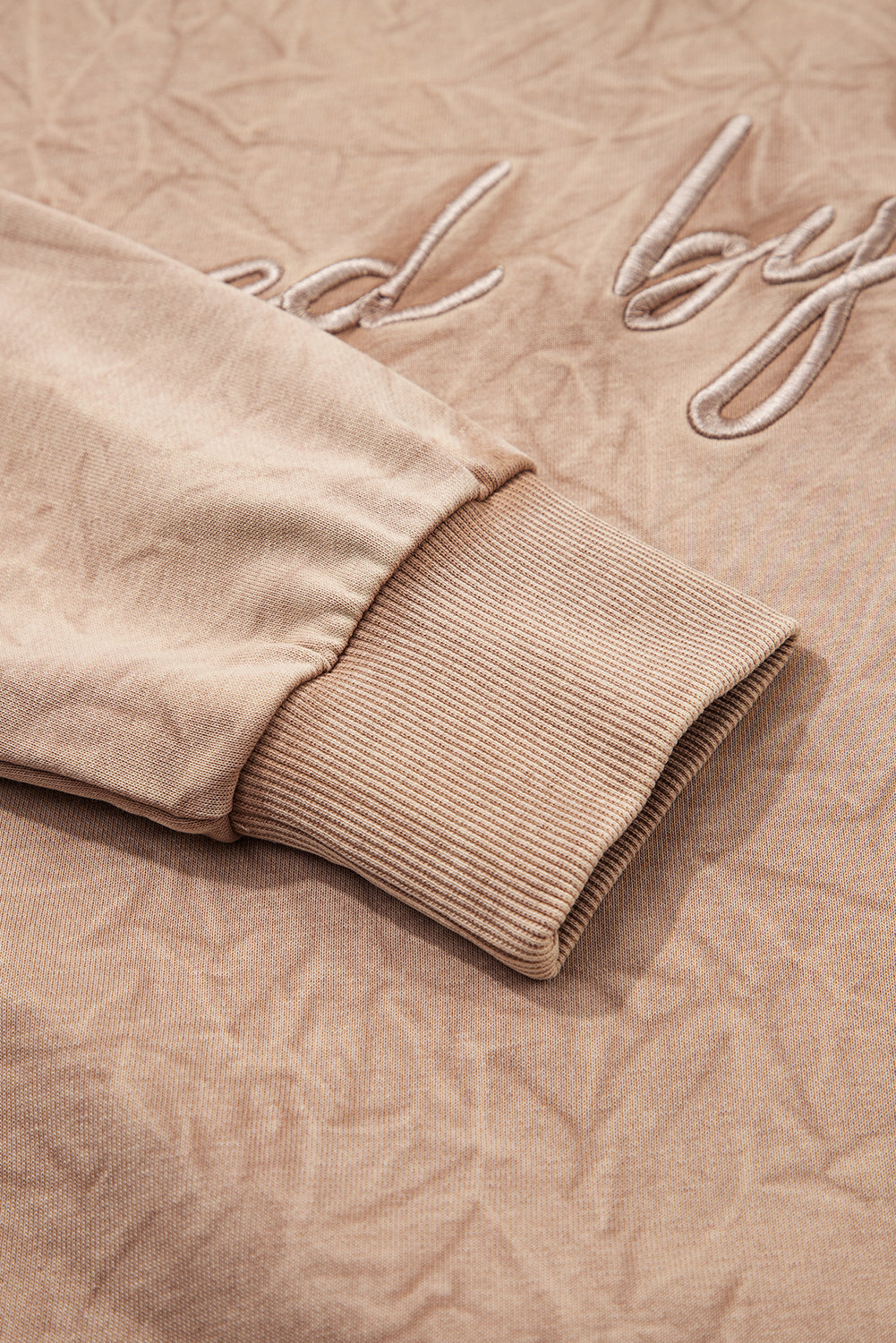 Letter Embroidery Mineral Wash Loose Sweatshirt