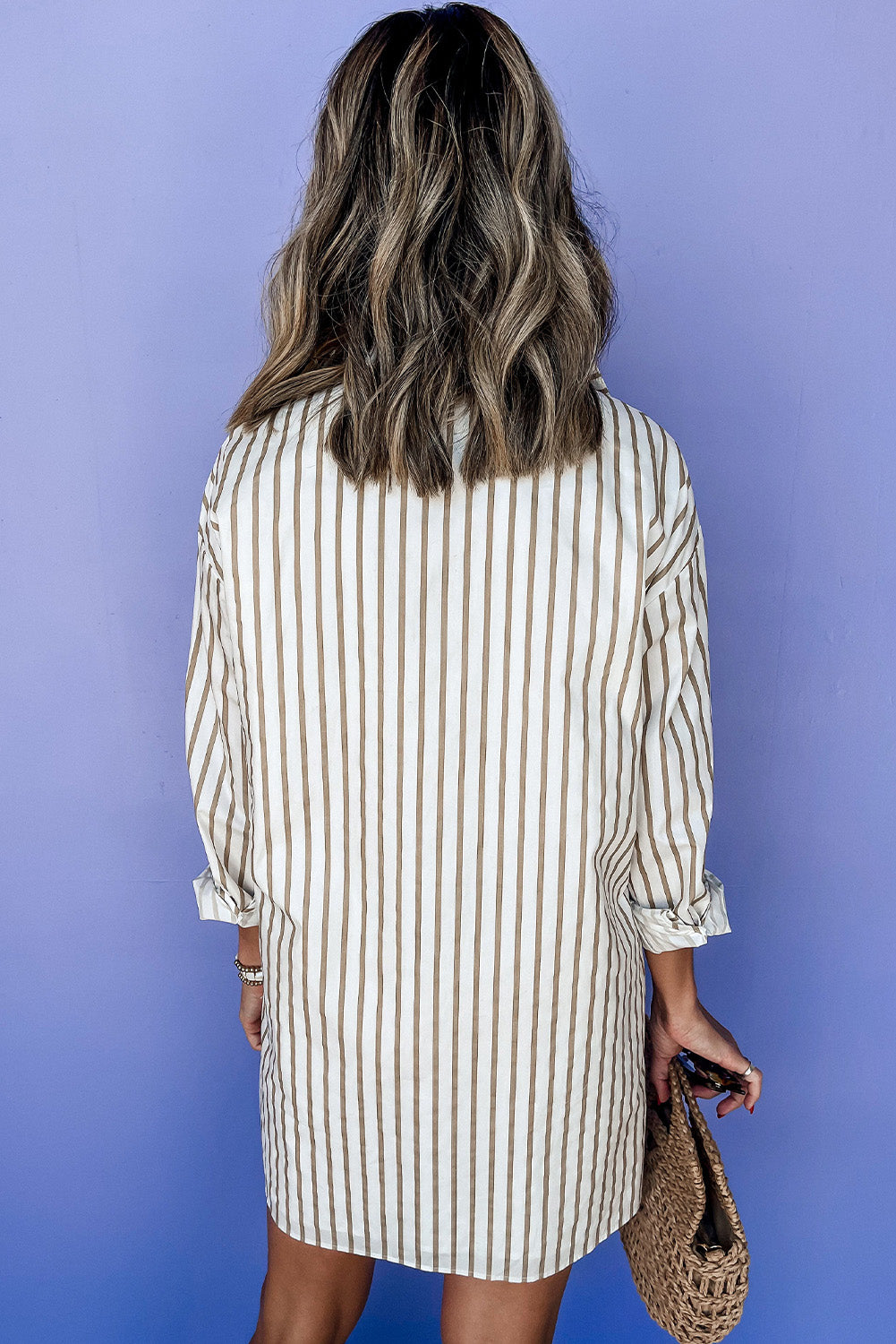 Long Sleeve Button Up Mini Shirt Dress