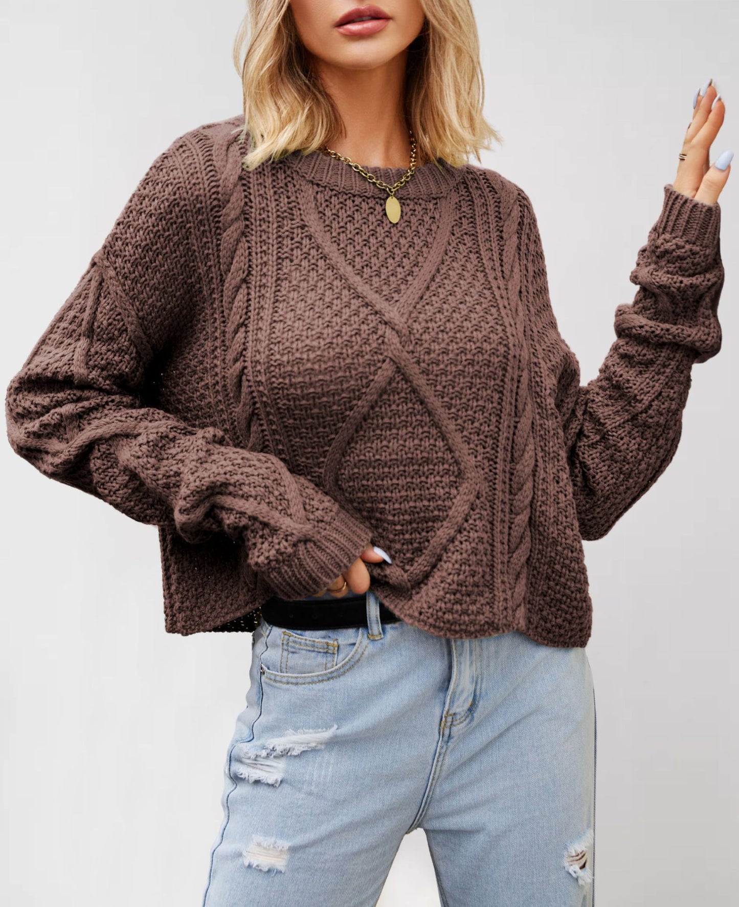 Large Size Loose Chunky Knit Pullover Sweater