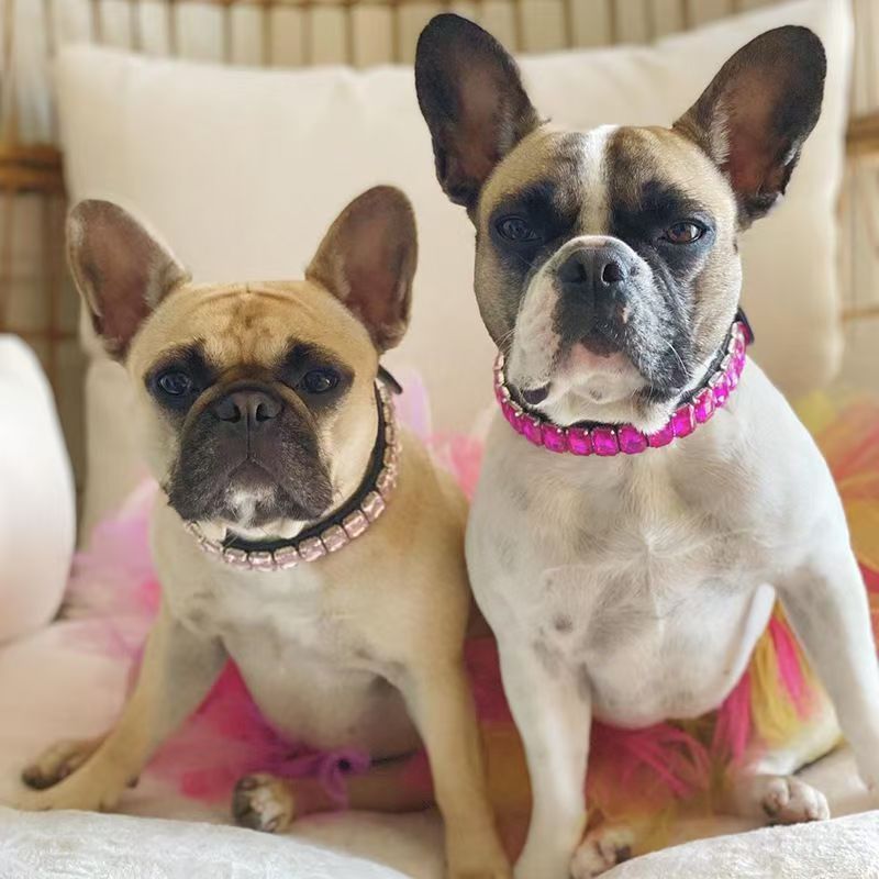 Pet Dog Collar Set