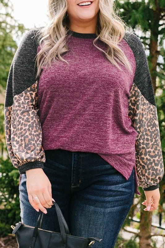 Leopard Colorblock Long Sleeve Plus Size Top