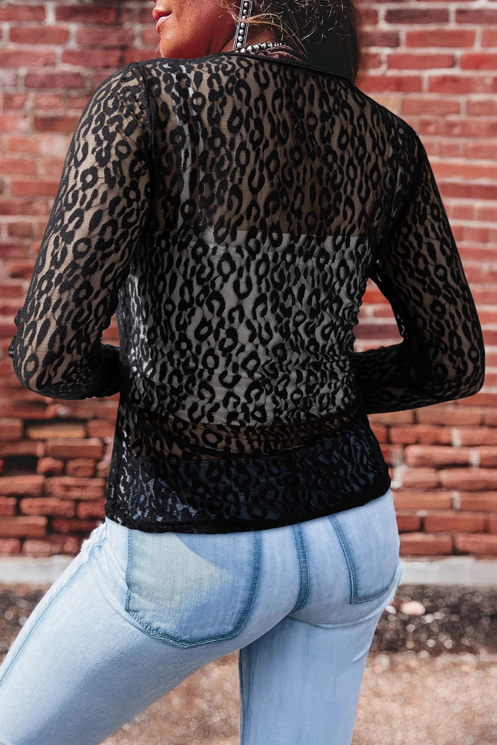 Pattern Sheer Mesh Long Sleeve Top
