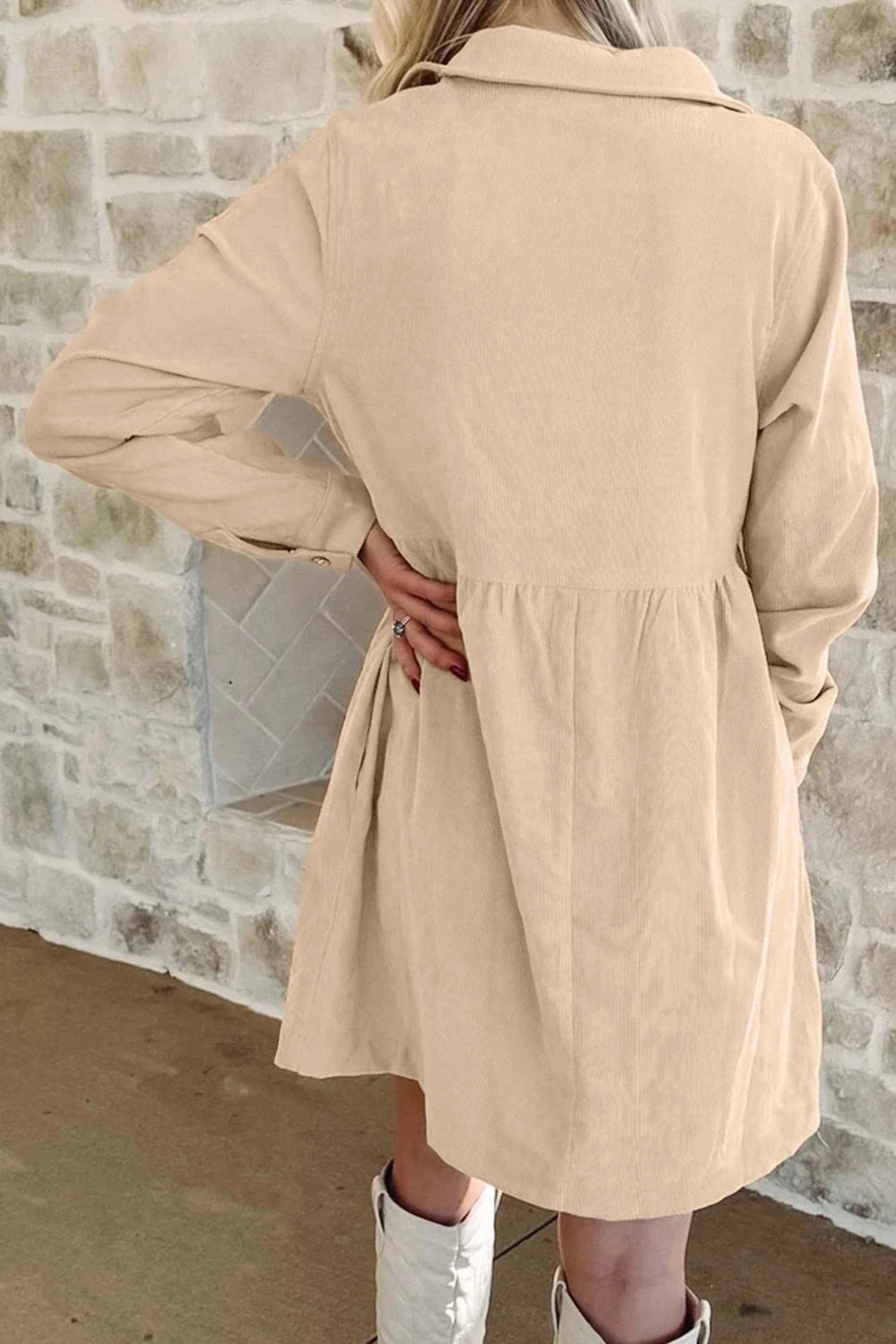 Collared Long Sleeve Mini Dress