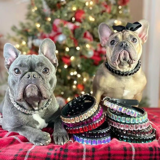 Pet Dog Collar Set