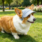 Custom Embroidered Name Pet Baseball Cap