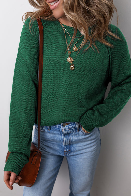 Raglan Sleeve Crew Neck Sweater