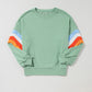 Rainbow Striped Sleeve Sweatshirt