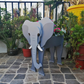 Animal Flower Planter