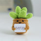 Funny Expression Potato Crochet Doll