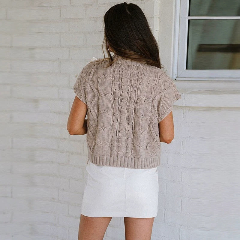 Simply Taupe Cable Knit Colorblock Satin Bowknot Short Sleeve Sweater