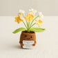 Funny Expression Potato Crochet Doll