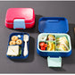 Hard Plastic Bento Box