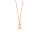 The Forever Pawprint Collection