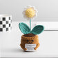 Funny Expression Potato Crochet Doll