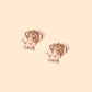 The Forever Pawprint Collection