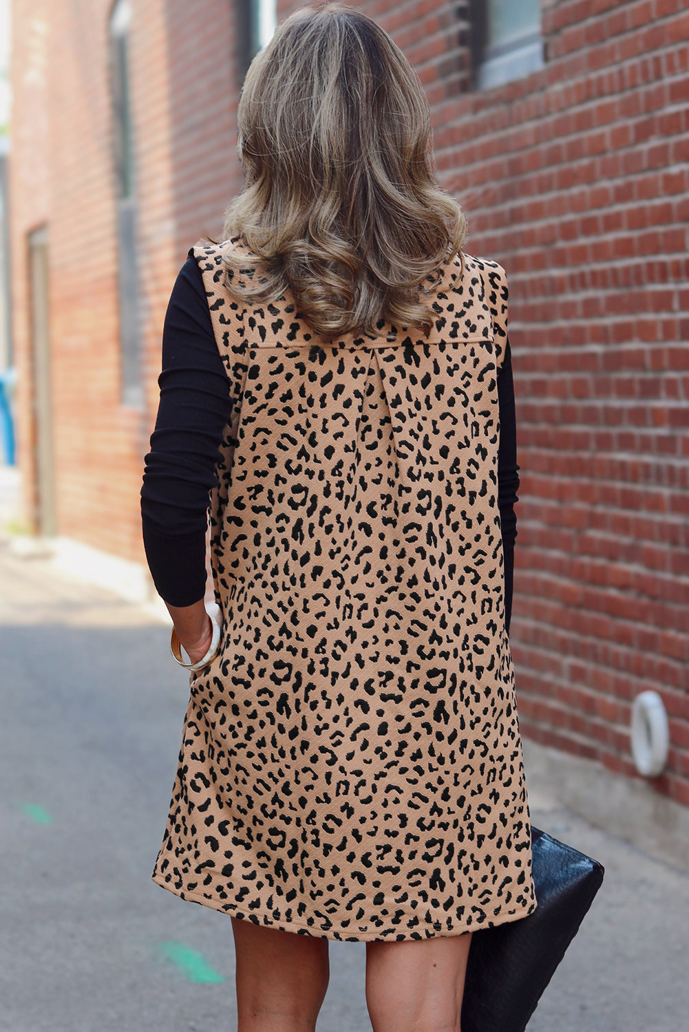 Leopard V Neck Mini Dress