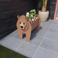 Animal Flower Planter
