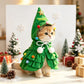 Embroidered Name Pet Christmas Cape